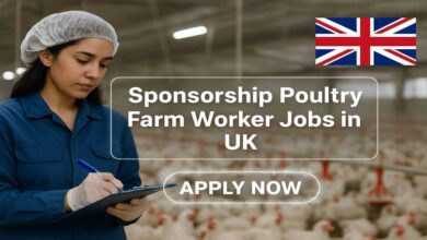 Sponsorship Poultry Farm Worker Jobs in UK