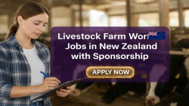 Livestock Farm Worker Jobs in New Zealand with Sponsorship