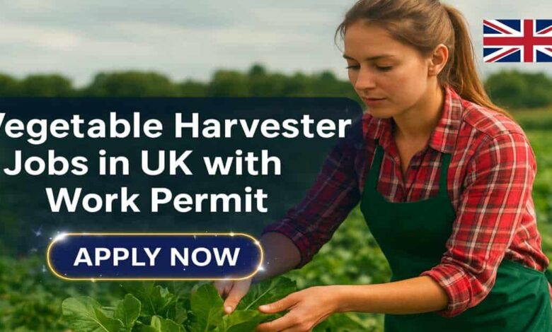 Vegetable Harvester Jobs in UK with Work Permit
